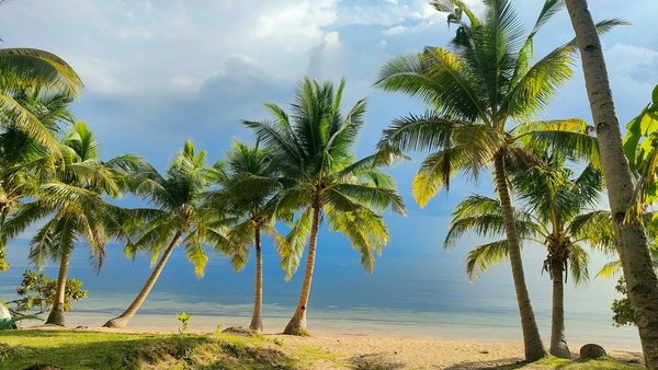 Où trouver une villa en Sicile avec des cours de cuisine sicilienne et des visites de marchés locaux?