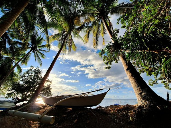 Où participer à un atelier de fabrication de fromage de brebis en Espagne?